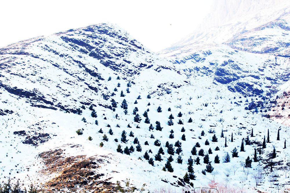 Photograph by mahdi karimi souderjani