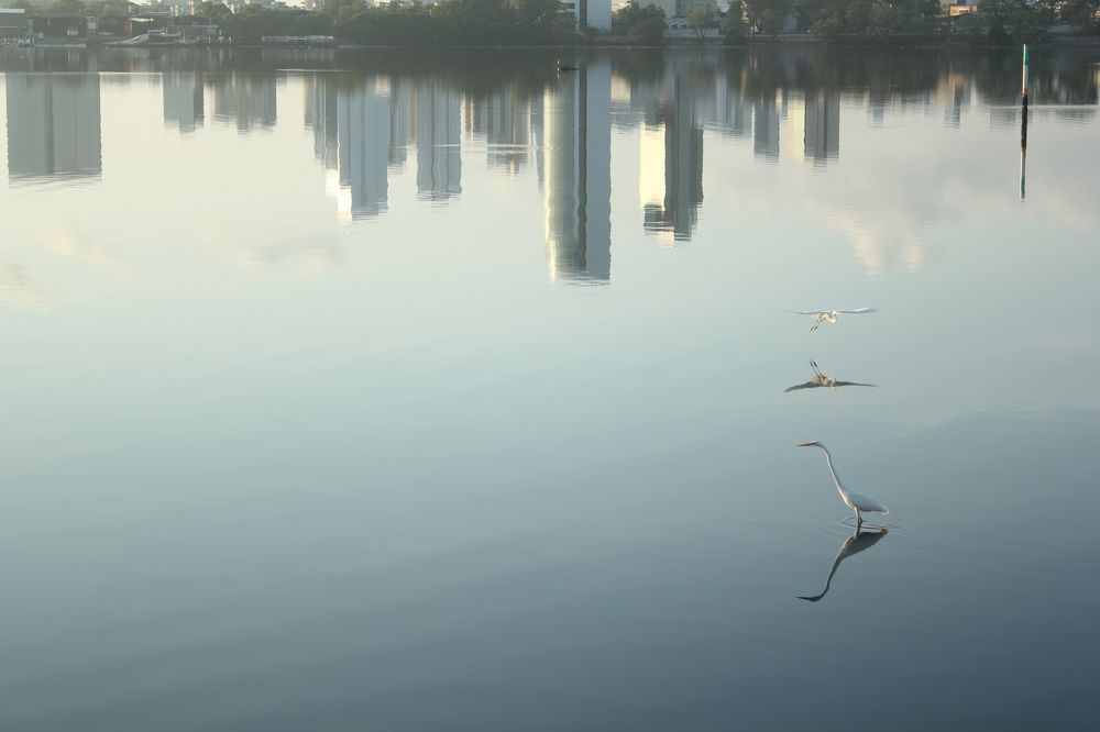 Photograph by CRINALDO REIS