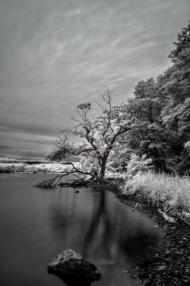 Photograph by Алексей Симонов