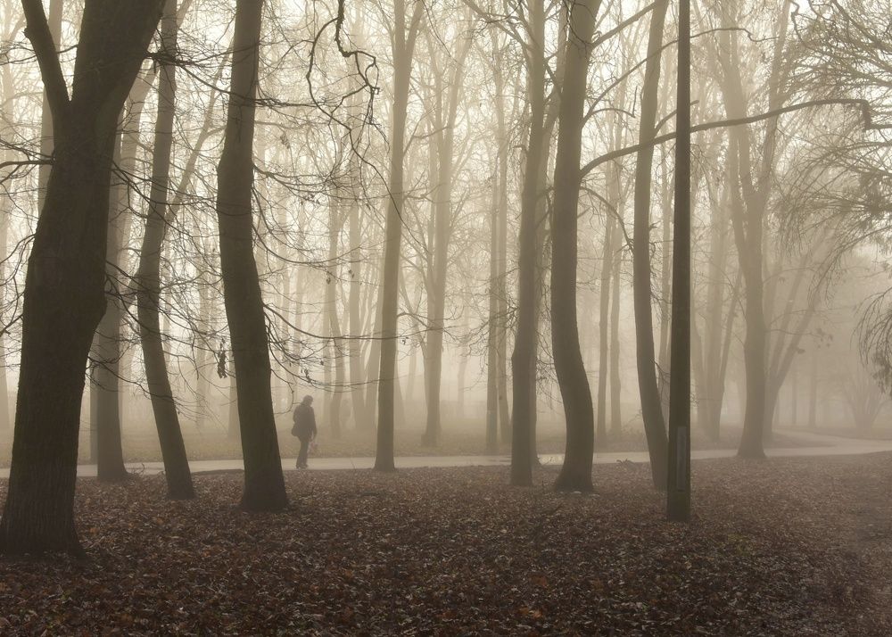 Photograph by Татьяна Абабкова