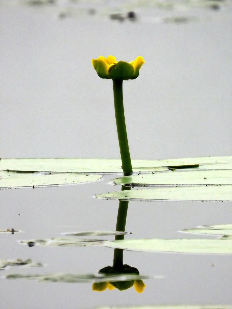 Photograph by Александр Шаварин