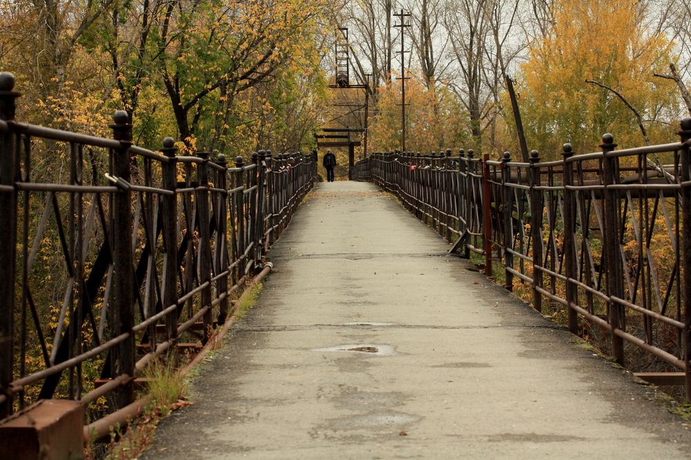 Фотография автора Nelya  Lysenko