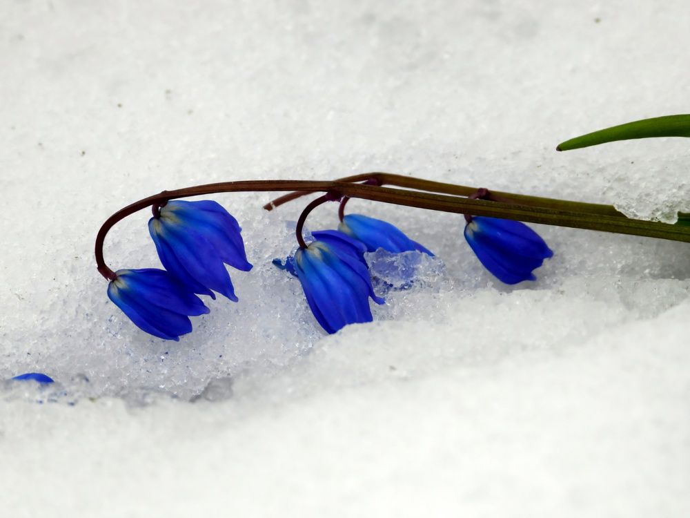 Photograph by Александр Шаварин