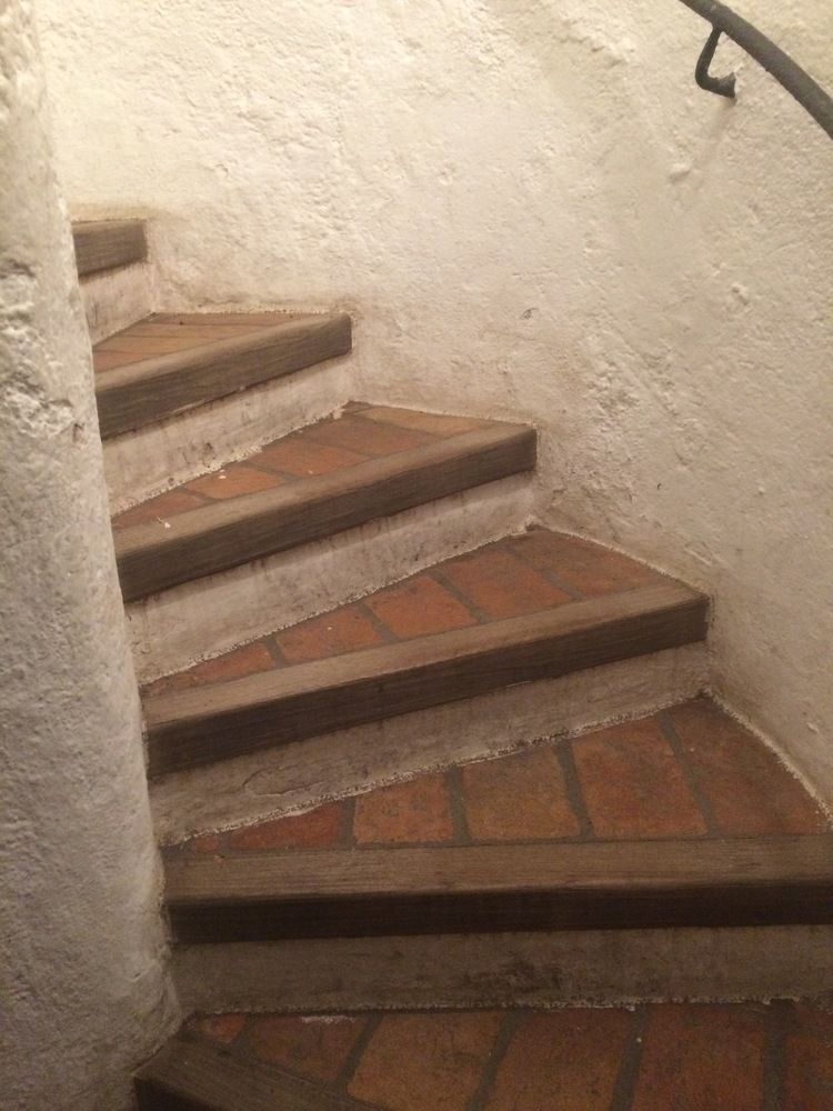 Photograph by Светлана