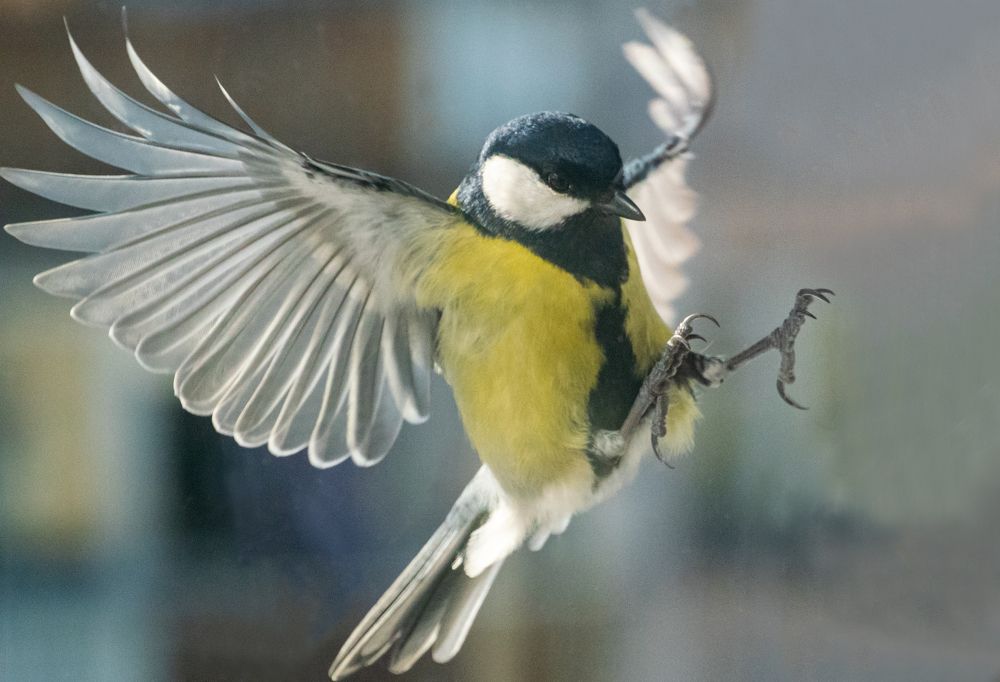 Photograph by Юрий Клишин