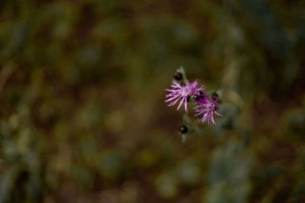 Photograph by Анастасия Веретенникова