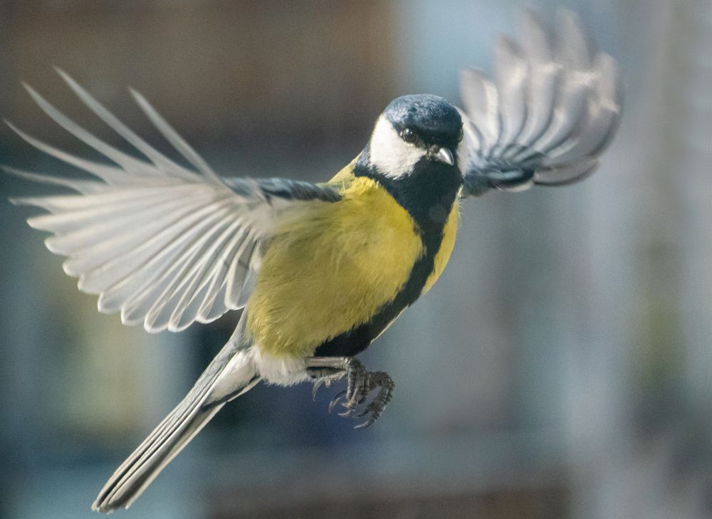 Photograph by Юрий Клишин