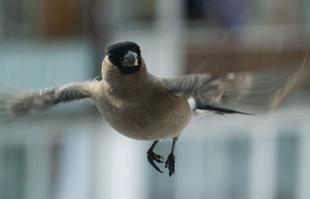 Photograph by Юрий Клишин