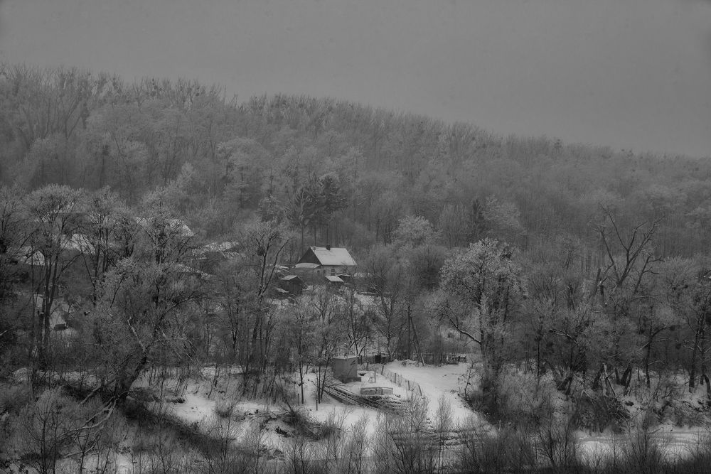 Photograph by Тетельман Давид