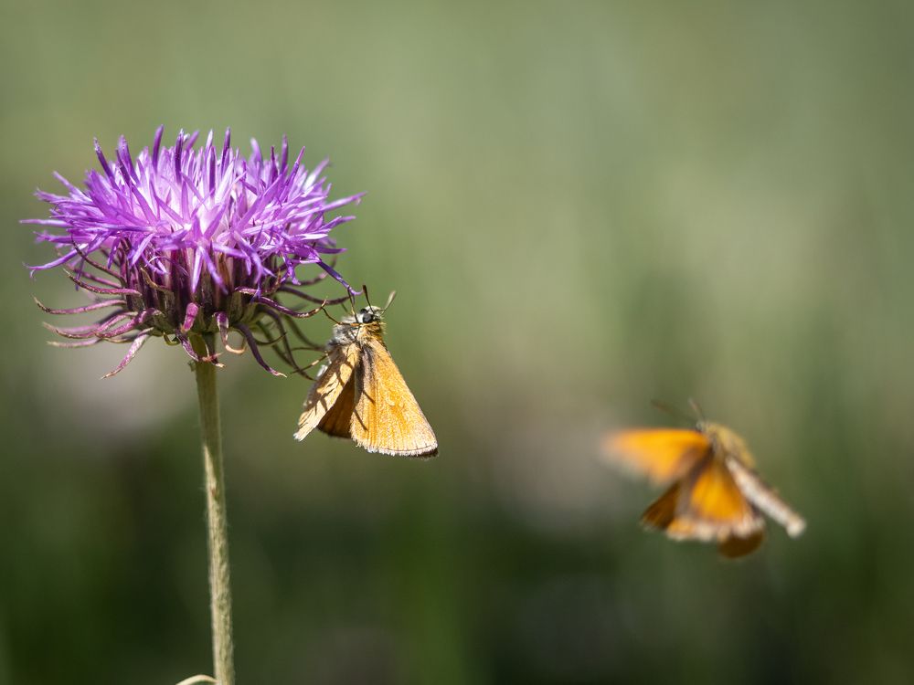 Photograph by Маргарита Ивкова