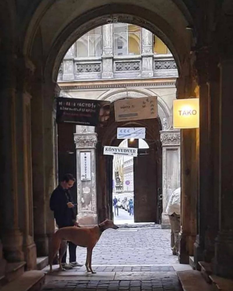 Photograph by Victoria Melnikova