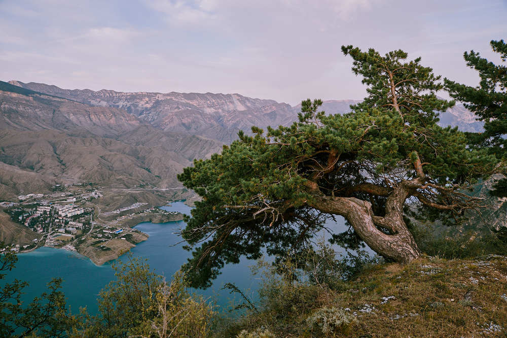 Photograph by Сергей Фадин