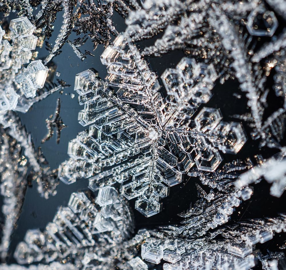 Photograph by Ольга Чибисова