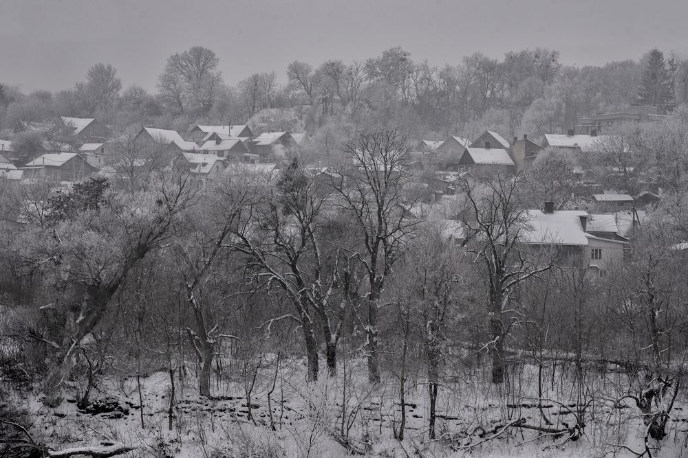 Photograph by Тетельман Давид