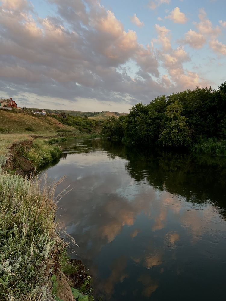 Photograph by Эльвира Мерзлякова