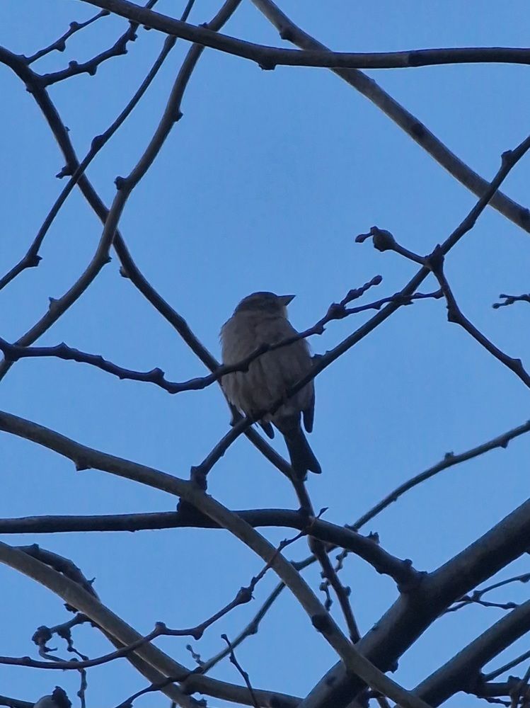 Фотография автора Елена Алексеева