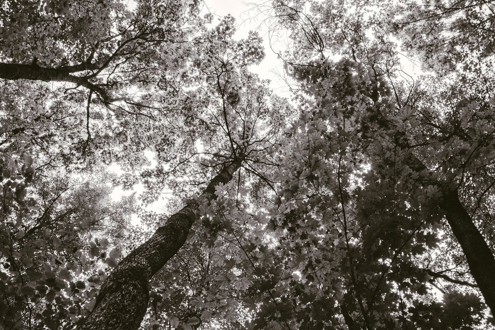 Photograph by Илья