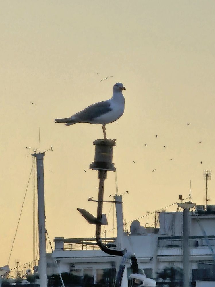 Фотография автора Елена Алексеева