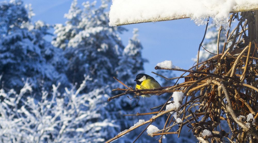 Photograph by Елизавета Большакова