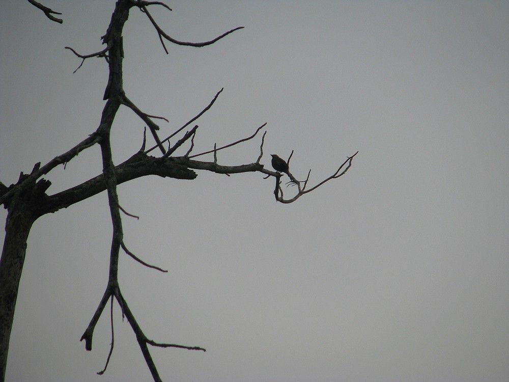 Photograph by Rodrigo Sanchez-Mosquera