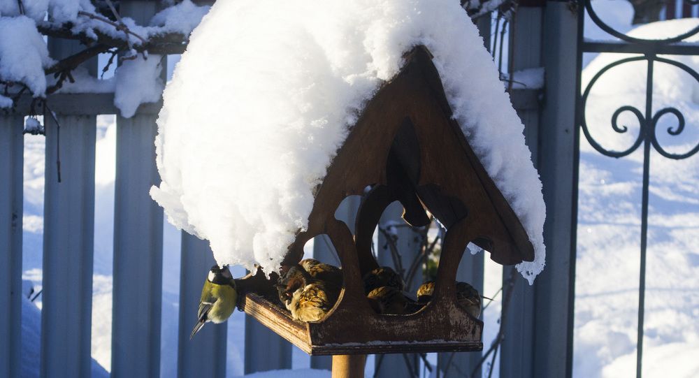 Photograph by Елизавета Большакова