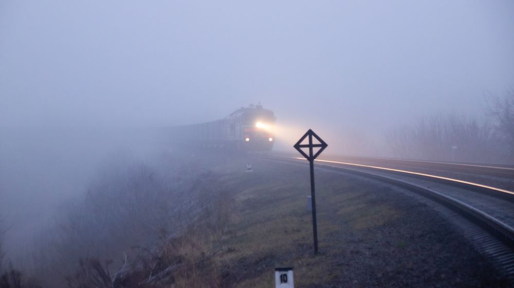 Photograph by Алексей Борисов