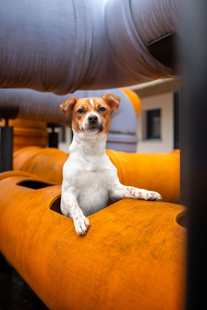 Photograph by Daniela Schnabel-Sahm