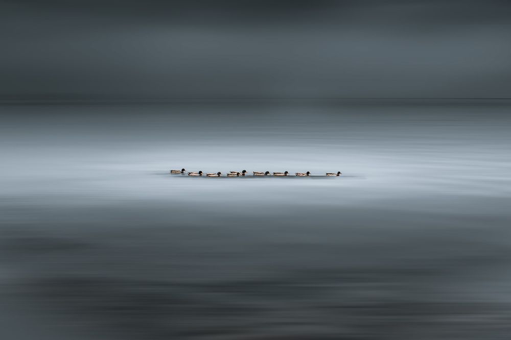 Photograph by KONSTANTINOS SAHLOS