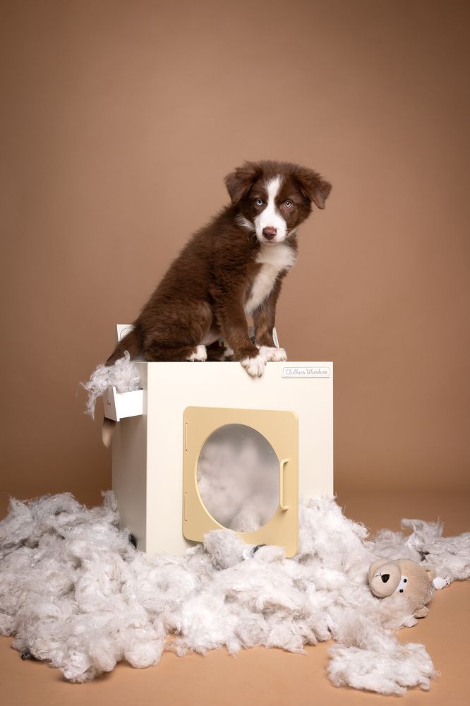 Photograph by Daniela Schnabel-Sahm