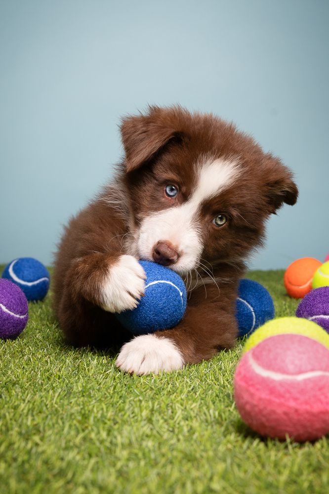 Photograph by Daniela Schnabel-Sahm