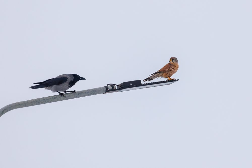 Photograph by Антон Науменко