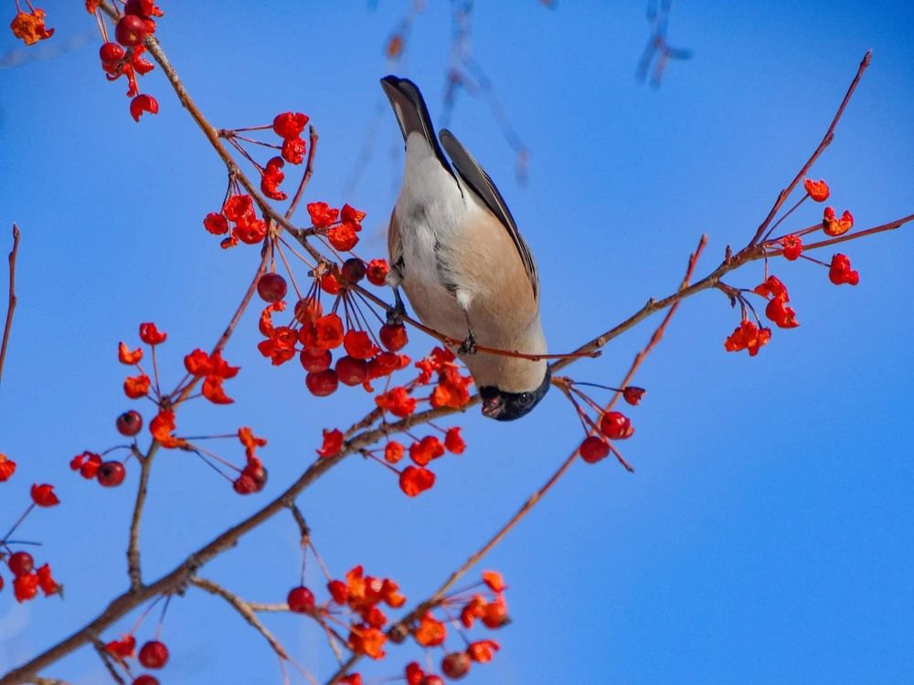 Photograph by Анжелика Трошина