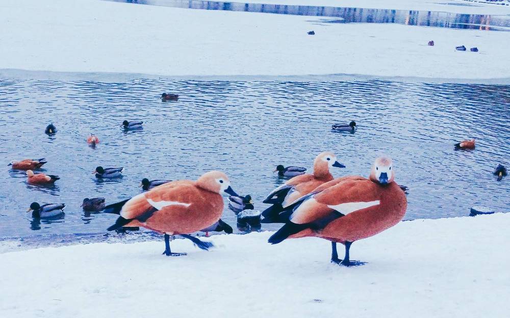 Фотография автора Valerya Vasileva