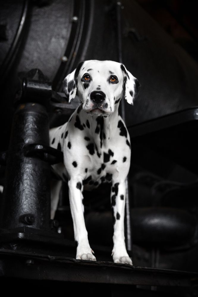 Photograph by Daniela Schnabel-Sahm