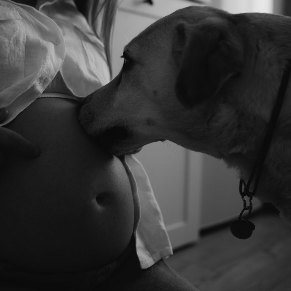 Photograph by Галина