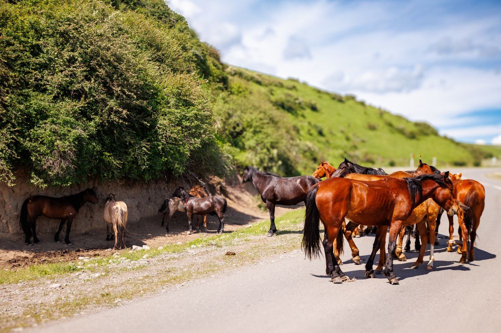 Photograph by Юлия Мальнева