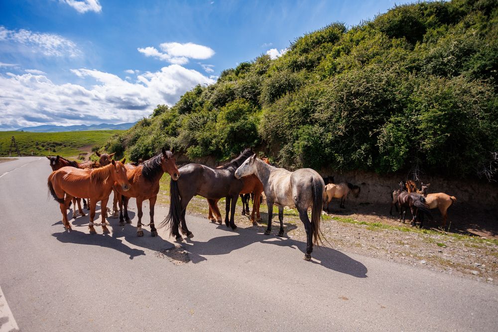 Photograph by Юлия Мальнева