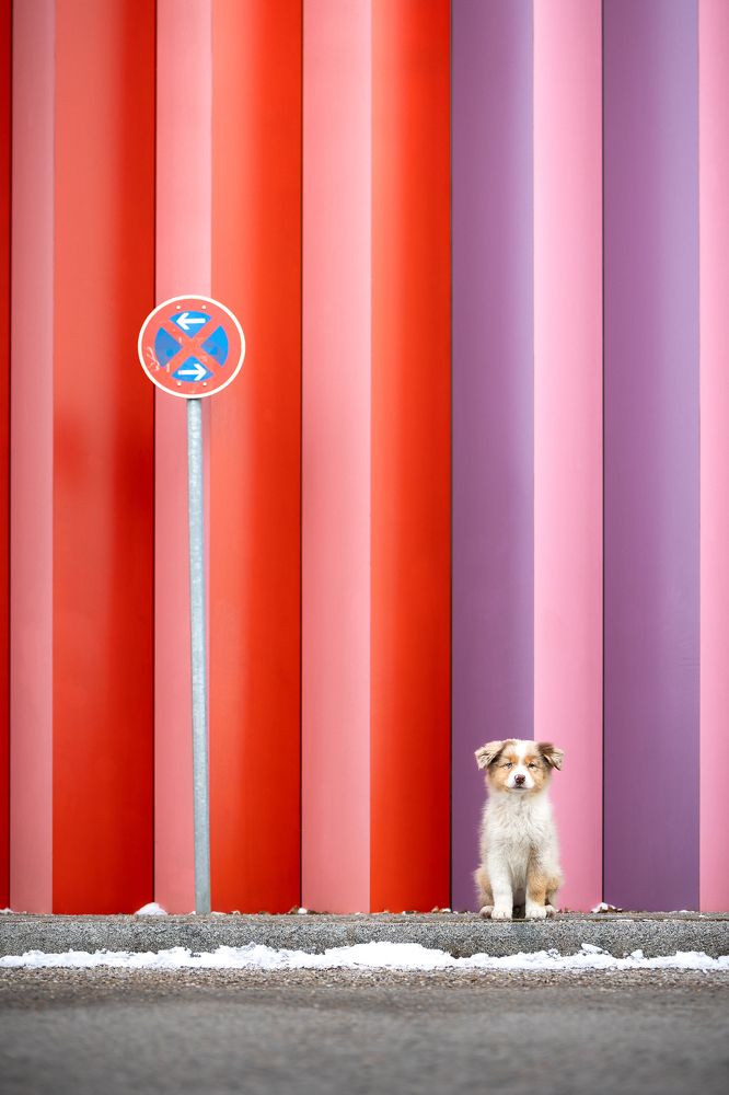 Photograph by Daniela Schnabel-Sahm