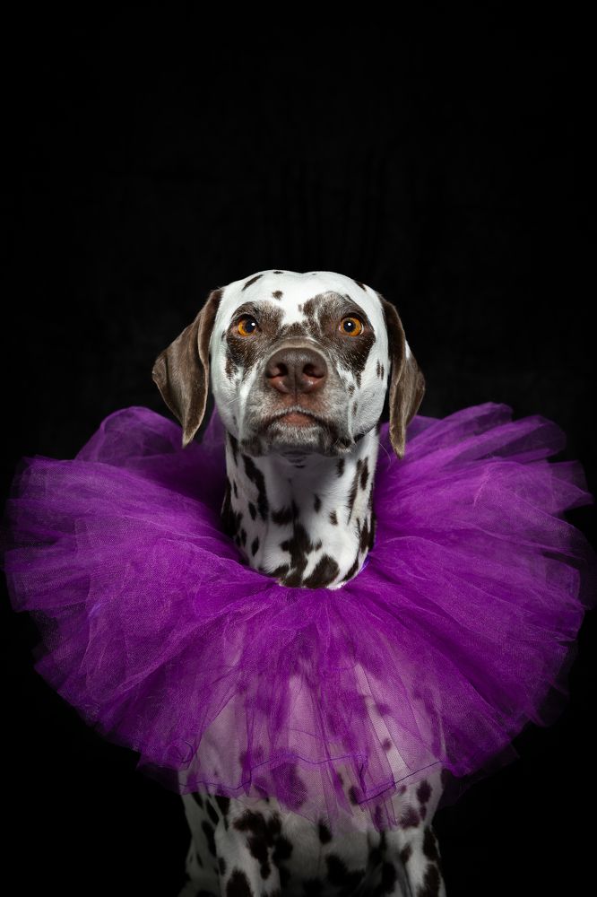 Photograph by Daniela Schnabel-Sahm