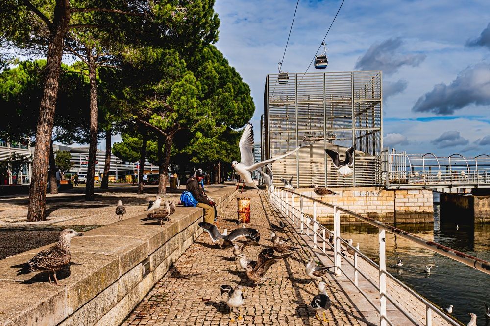 Фотография автора Antonio Etevaldo Rodrigues Junior