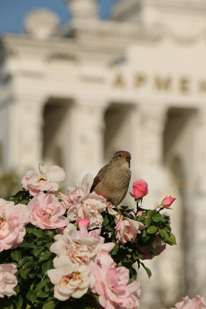 Photograph by Анастасия Свиридова