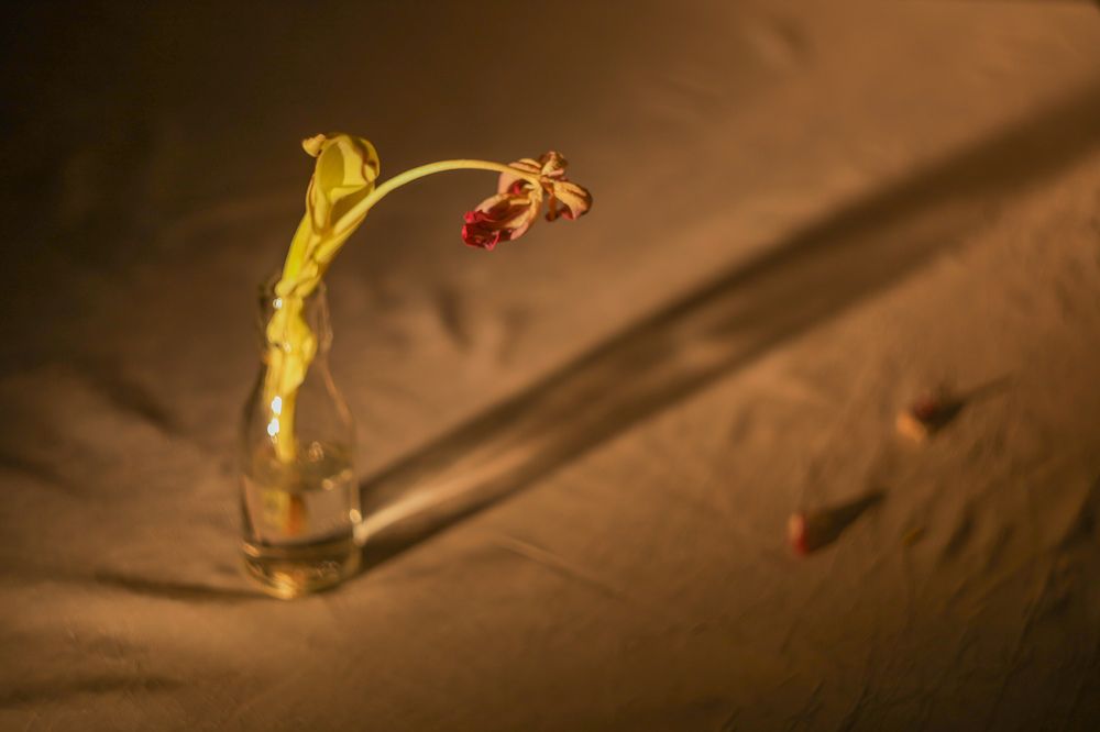 Photograph by Татьяна Черналецкая