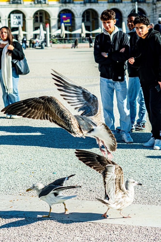 Фотография автора Antonio Etevaldo Rodrigues Junior