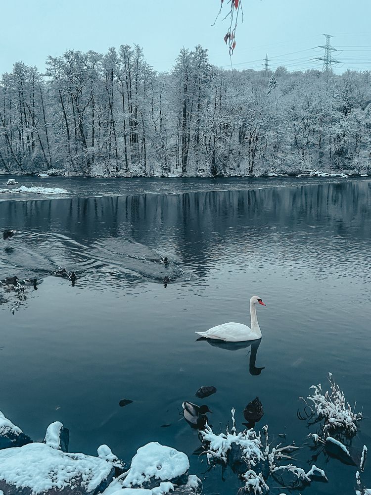 Photograph by Татьяна Черналецкая