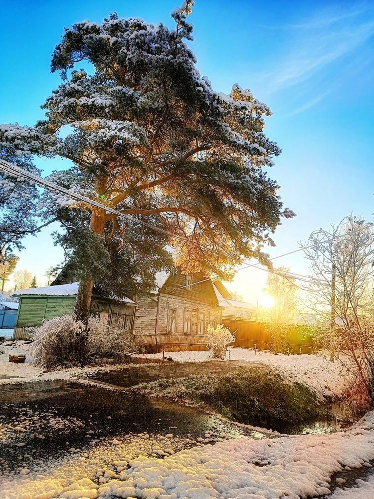 Photograph by Алексей Левичев