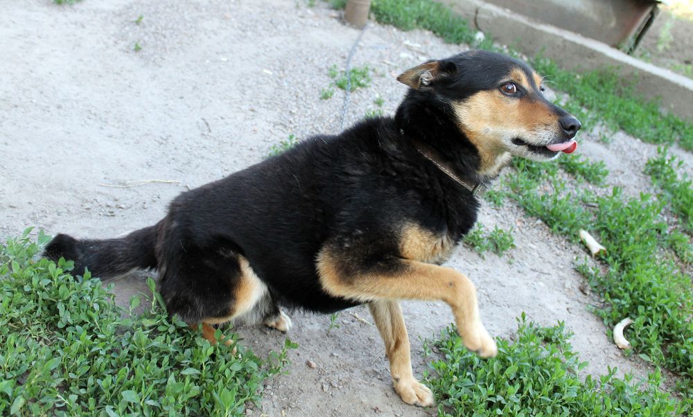 Photograph by София Лаврентьева