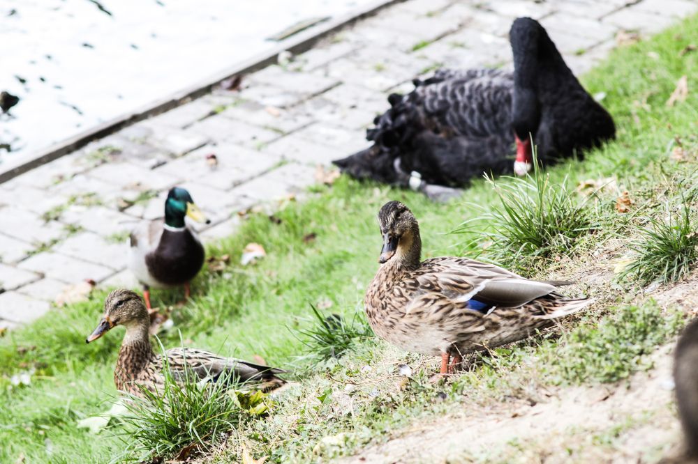 Photograph by Елена Квасова