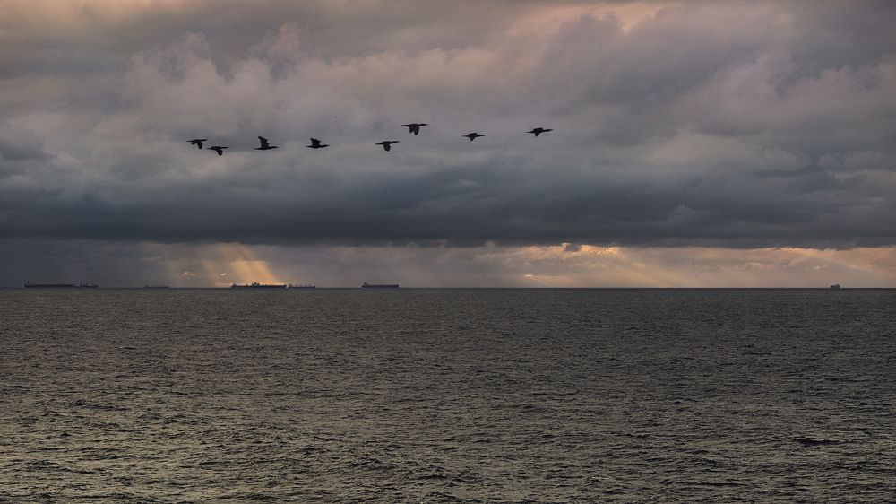 Утро нового 2025 - го