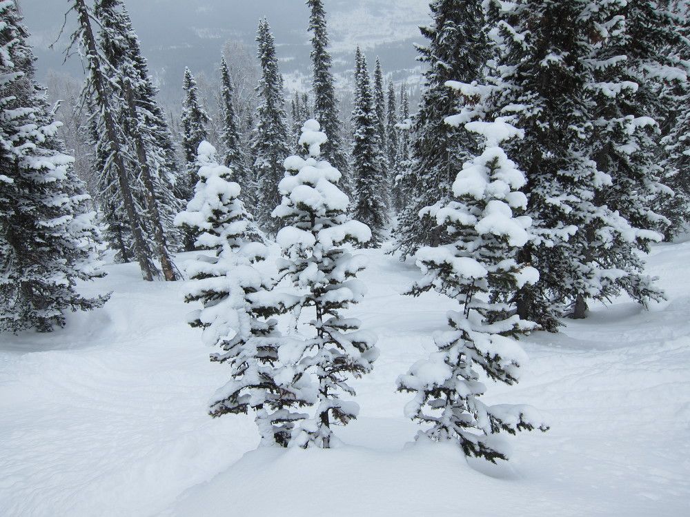 Photo #11757798