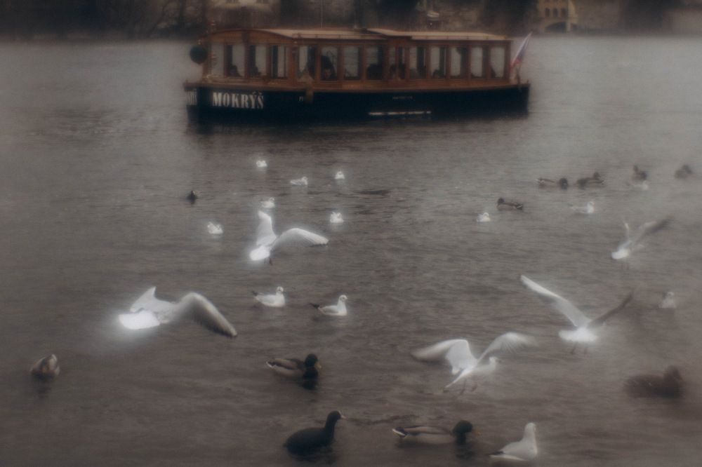 Photograph by Татьяна Черналецкая